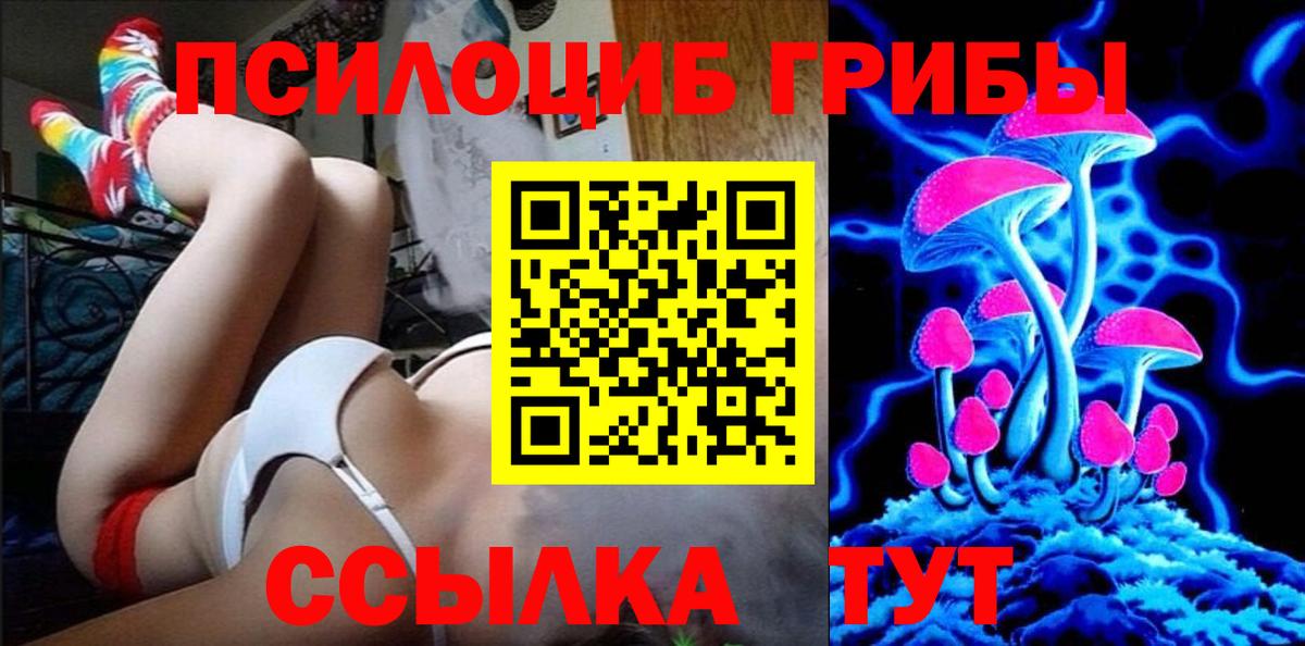 Галлюциногенные грибы Psilocybe  Вход с VPN  Кизилюрт 